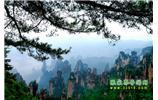 【純玩獨立成團線路1】張家界、袁家界、天子山、寶峰湖/黃龍洞二晚三日