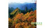 長沙往返張家界、天子山、寶峰湖/黃龍洞三日游