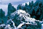 【純玩散拼線路17】張家界、天子山、芙蓉鎮、猛洞河漂流、鳳凰古城三晚四日游