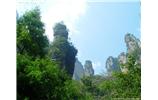 【純玩拼團線路 張家界出發A2線】張家界、袁家界、天子山、金鞭溪、鳳凰古城2晚3日游